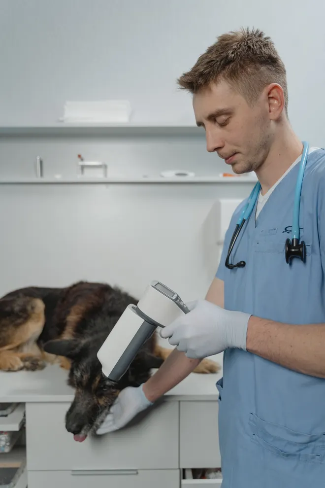 Lectura de microchip